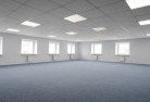 Dewittskylights-3.jpg; ?>